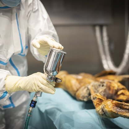 Experts do periodically humidify the mummy | © © South Tyrol Museum of Archaeology/Marion Lafogler