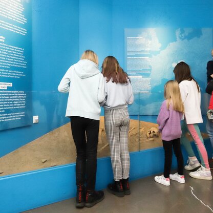 Permanent exhibition - Comparison with Remedello | © © South Tyrol Museum of Archaeology / Daniel Mair