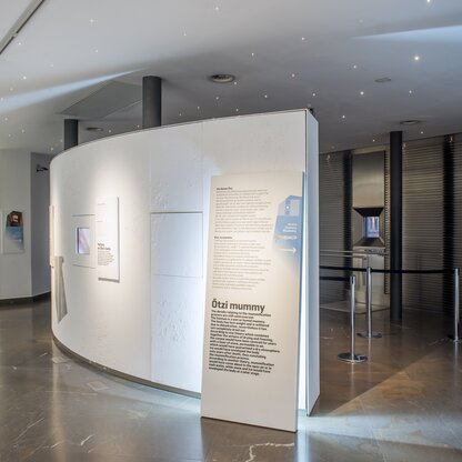 Permanent exhibition - 1st floor  | © © South Tyrol Museum of Archaeology / foto-dpi.com