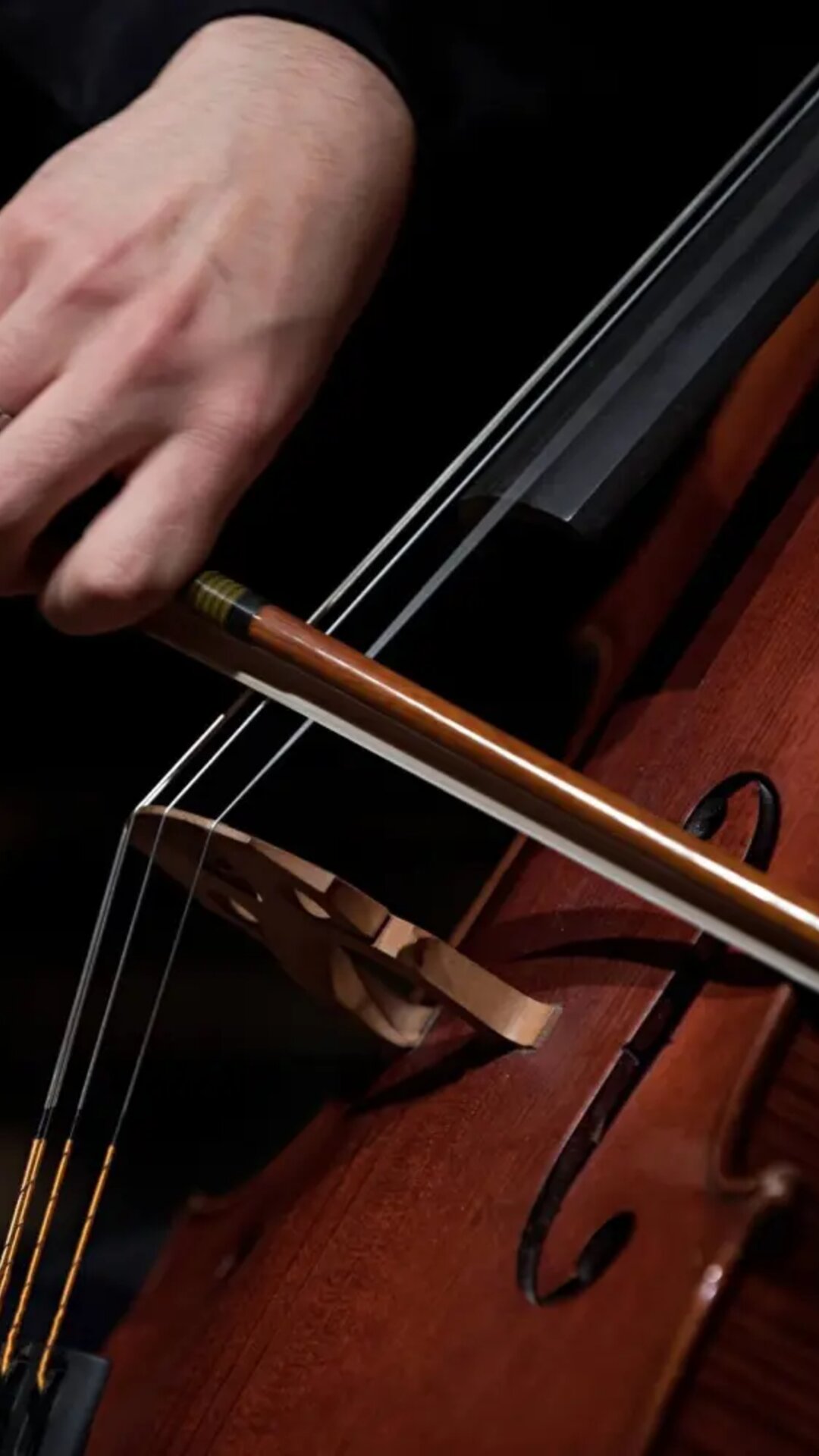 Mozart meets Museum